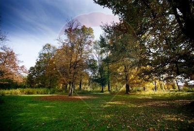Domeniu Baronial de vanzare in localitatea CIL , Judet Arad - 5