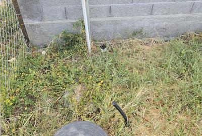 Teren de 400 mp, în Mărăcineanu - 4