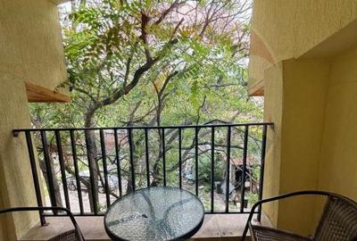 Apartament 2 camere cu terasa Gara de nord - 2