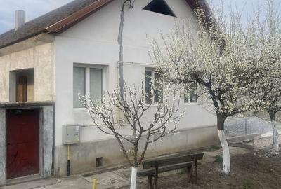 Casă cu 4 camere în Central - 1