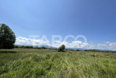 Teren de 5000 mp, în Turnișor