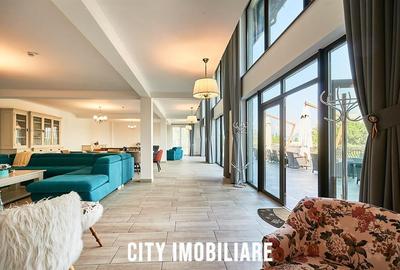 Casa de vacanta in Toplita, langa partia de schi, ideala pentru relaxare si inve - 7