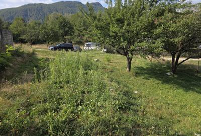 Teren Construcții intravilan de 1000 mp, în Bran - 8