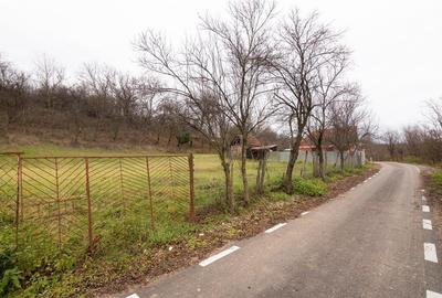 RECO Casa de vacanta la Holod- langa padure- teren 2190mp - 37