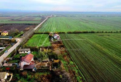 Teren intravilan curti-constructii, industrial, Autostrada A1 - km 62 - 9