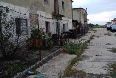 Depozit și hală industrială de vânzare – Orțișoara, complex industrial Avicola - 5