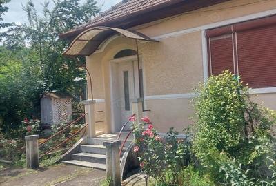 Casă cu 5 camere în Blaj - 3