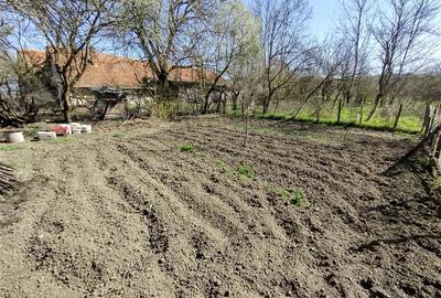 Casă individuală cu 8 camere cu Teren 3800 Mp în Răchitova - 8