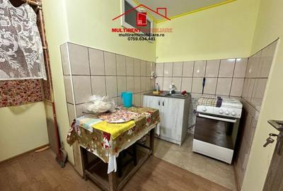 De vanzare Vila D+P+M - cartier Sud Vii -teren proprietate! - 20