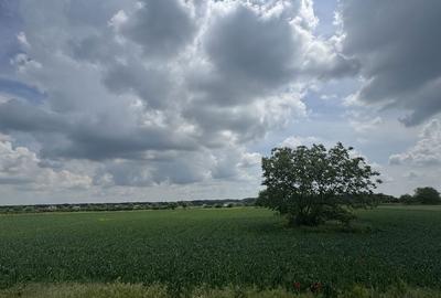 Teren de 1000 mp, în Moara Vlăsiei - 2