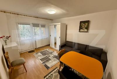 Garsonieră decomandată, mobilată în Brazda lui Novac