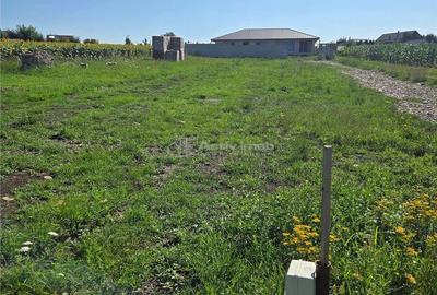 Teren de 895 mp, în Burdujeni - 7