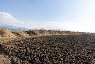 Teren agricol extravilan de 19239 mp, în Vulcan - 14