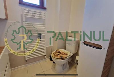 Casă modernă de închiriat în Sibiu – Cartierul Arhitectilor - 10