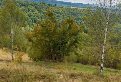 Teren de vanzare priveli?te superba | Acces drum | Forma regulata - 6