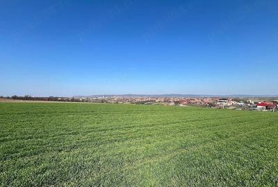 Teren de 5375 mp, în Cheriu - 9