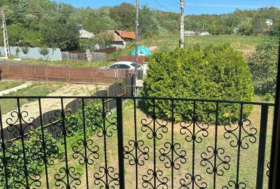 Casă cu 5 camere cu Teren 1800 Mp în Valea Sălciilor - 2