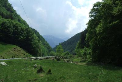 Teren în Central - 2