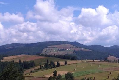 Teren de 2922 mp, în Bubești - 1