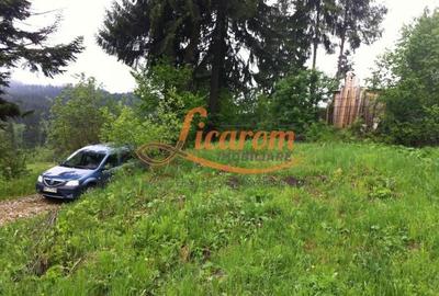 Teren Construcții intravilan de 980 mp, în Timișu de Sus - 5