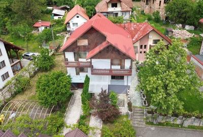 De inchiriat-casa ideala pentru sediu sau spatiu comercial-Parcul Mare - 21