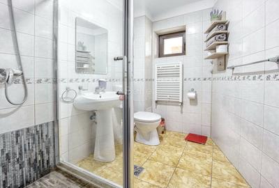 Pensiune Turistica Montana - 21