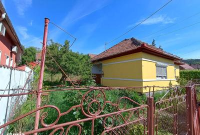 Casă cu 2 camere în Central - 3
