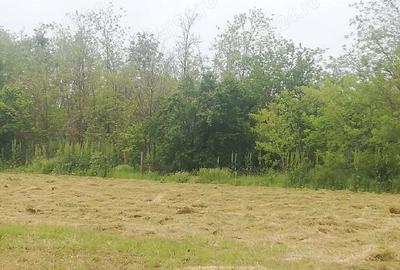 Casă cu 1 camere cu Teren 2500 Mp în Radu Vodă - 1