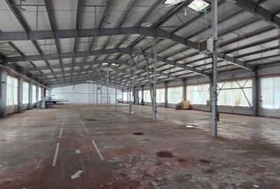 Spatii industriale  si comerciale  de inchiriat Focsani 5000 mp - 2