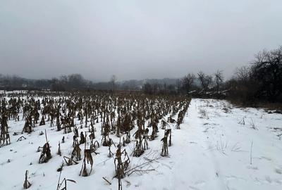 Vand casa+teren 4400m2 in Polovragi - 5