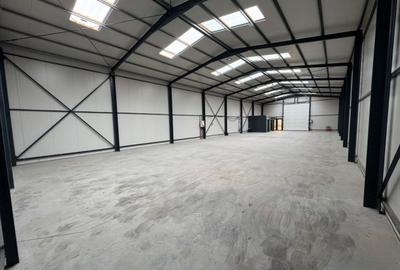 Ovidiu, euohala  380 mp., constructie 2022. - 7