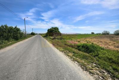 Teren Construcții intravilan de 4770 mp, în Dărăști-Ilfov - 13