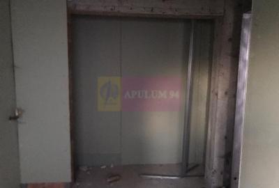 Vila la rosu Zarnesti- Mitropolit Metianu cu vedere superba spre munte - 13
