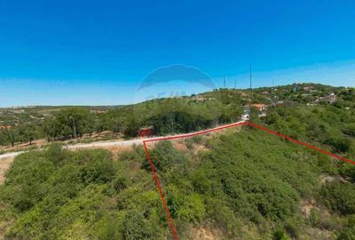 De vanzare Teren in Oradea, cu panorama, 4506 mp, zona Dealuri - 12