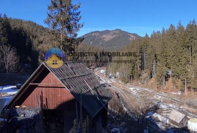 Refugiu Natural: Casa si Teren Inconjurat de Padure ! - 1