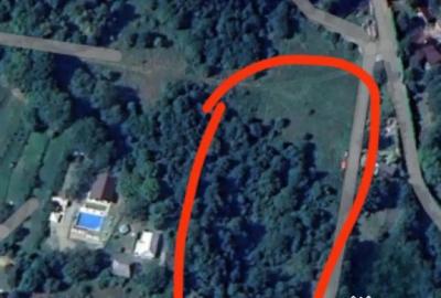 Teren de 8000 mp, în Chiuzbaia - 2