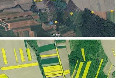 Teren Extravilan Corbita, ID: R1966413 - 2