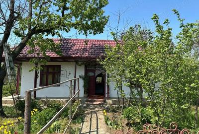 Casă cu 5 camere cu Teren 1400 Mp în Central - 5