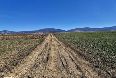 Spațiu comercial, în Prejmer - 3