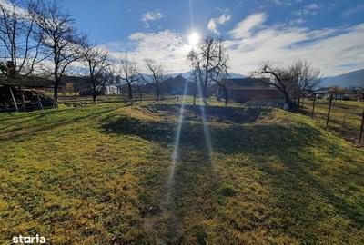 Casă cu 4 camere cu Teren 5500 Mp în Central - 2