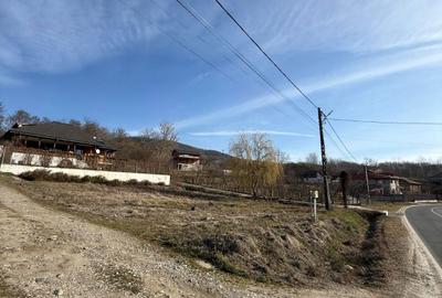 Spațiu comercial, în Vlădești - 7