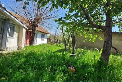 Casă individuală cu 3 camere cu Teren 6000 Mp în Pleșa - 1