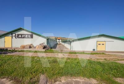 De vanzare | Hala industriala | productie | depozitare | 1023mp | Sebes - 9