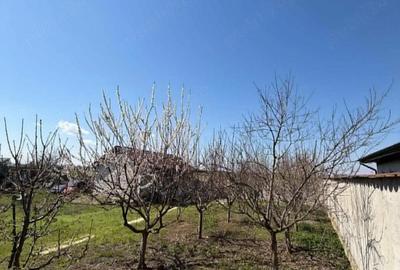 Teren de 380 mp, în Berceni