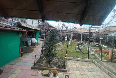 Casă cu Teren 365 Mp în Central - 1