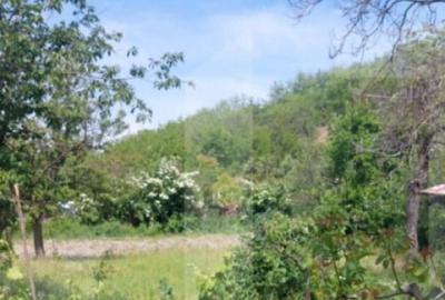 Blitz va ofera spre vanzare casa cu teren generos in Covas? - 4