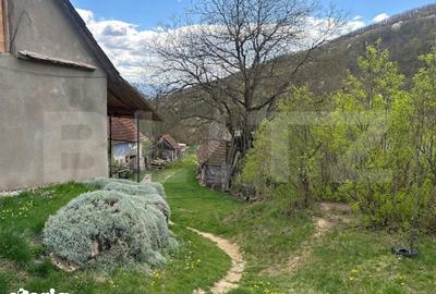 Casă cu 4 camere cu Teren 12186 Mp în Rapoltu Mare - 2