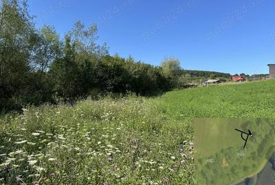 Teren de 11600 mp, în Ceuaș - 1