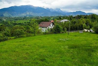 Film! Domeniu pe 11.000mp intravilan, panorama montana,Bran,Sohodol - 4