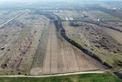 Teren Construcții extravilan de 24000 mp, în Moșnița Nouă - 5